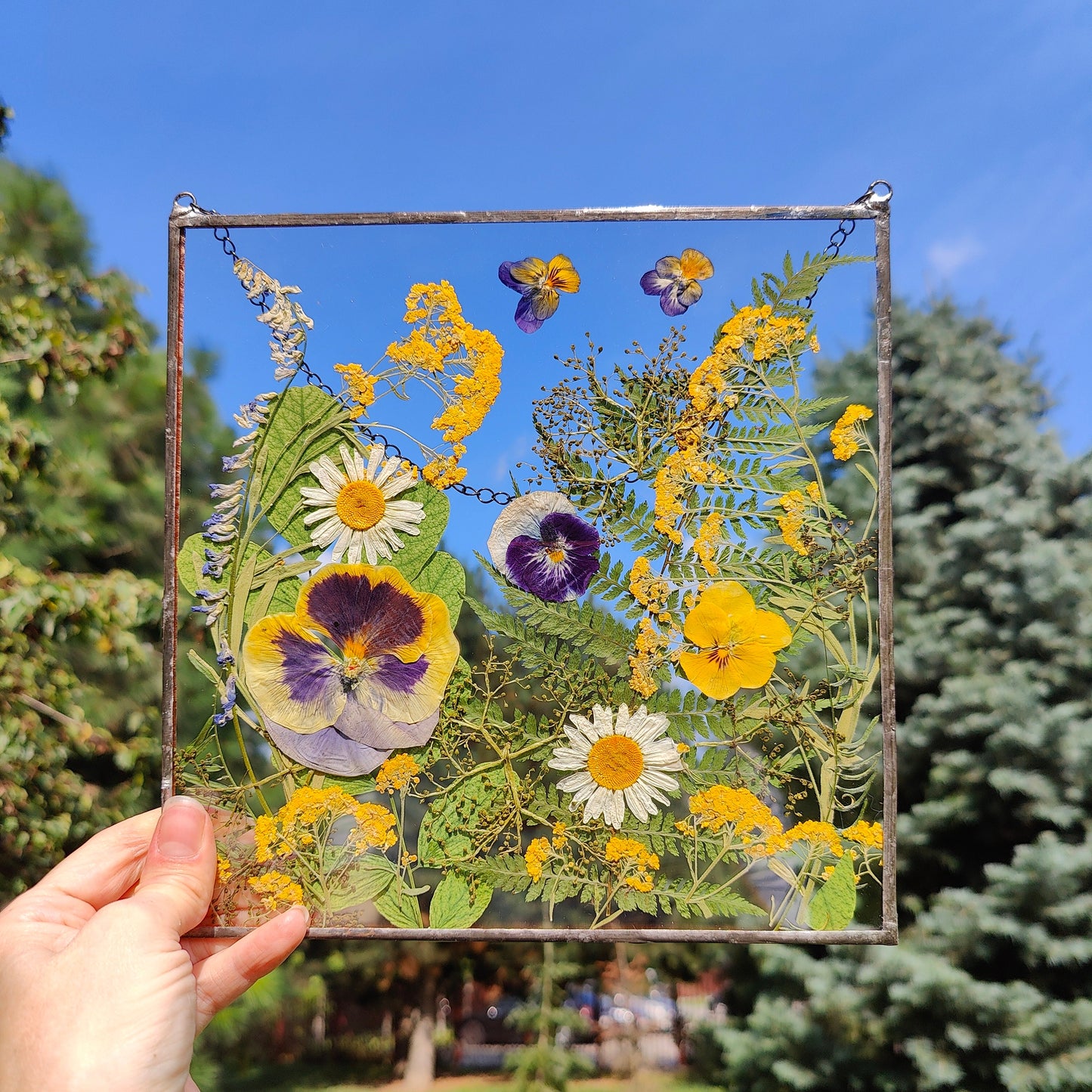 Square Pressed Flower Frame | Handmade Dried Flower Herbarium Art | Unique Suncatcher Botanical Wall Décor Gift
