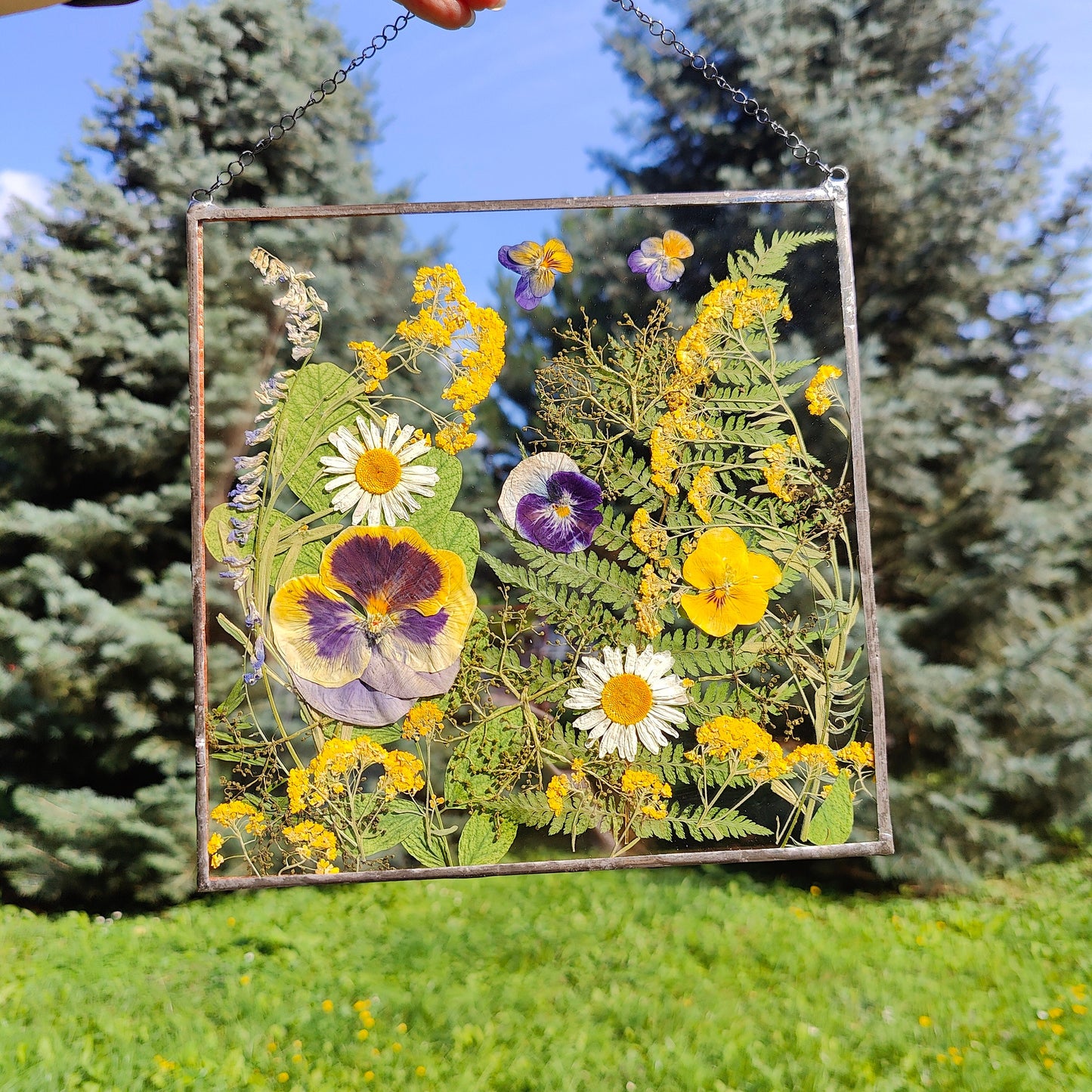 Square Pressed Flower Frame | Handmade Dried Flower Herbarium Art | Unique Suncatcher Botanical Wall Décor Gift