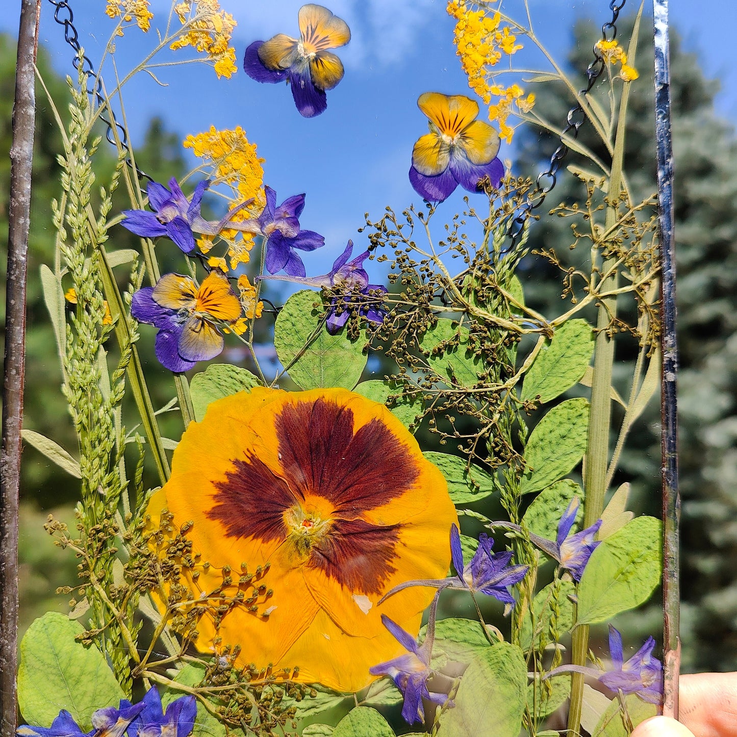 Handmade Pressed Flower Herbarium Frame | Dried Flower Floating Botanical Art in Stained Glass