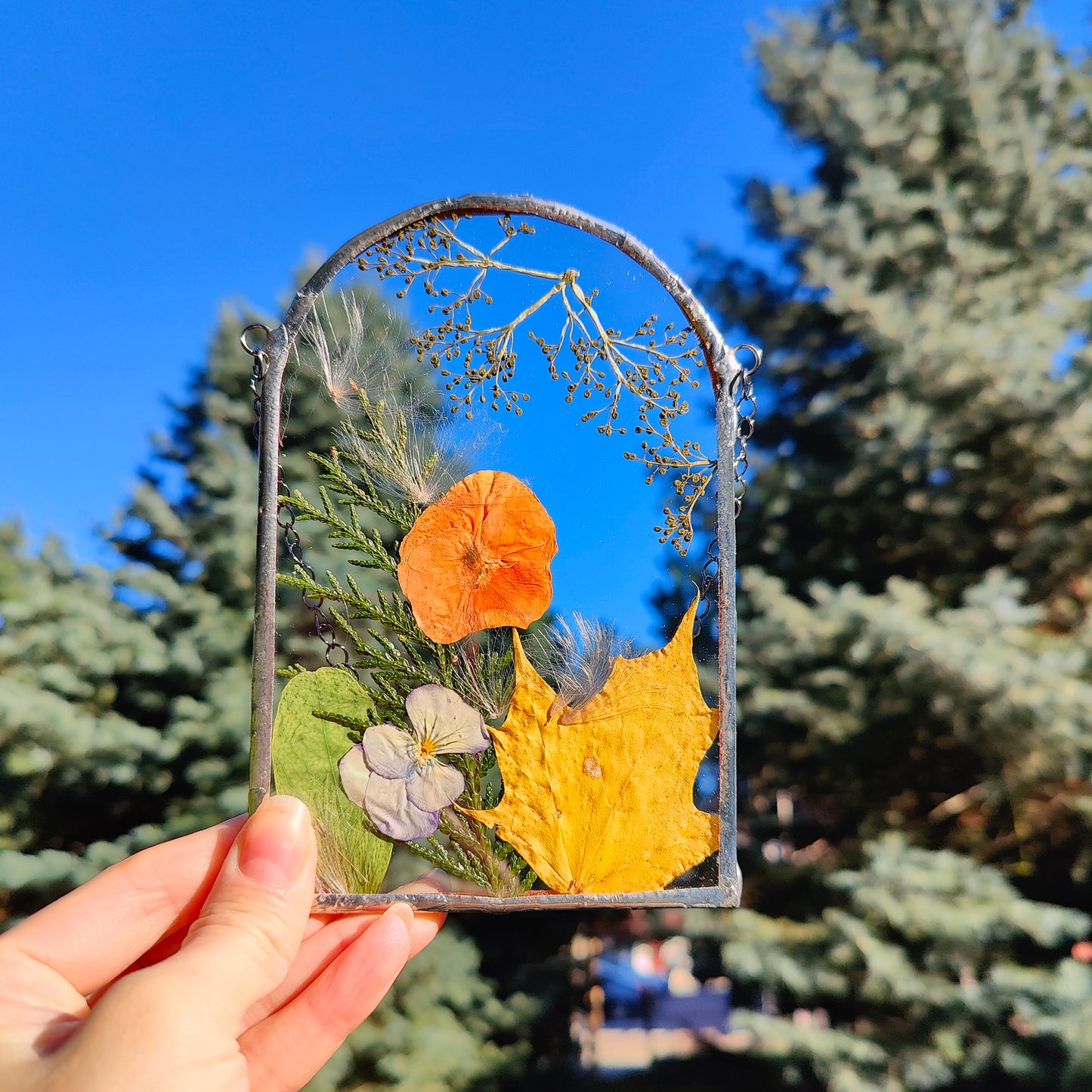 Pressed Autumn Leaves Frame | Handmade Herbarium Art | Dried Flower Suncatcher | Stained Glass Floating Frame Decor | Nature-Inspired Gift for Women and Men