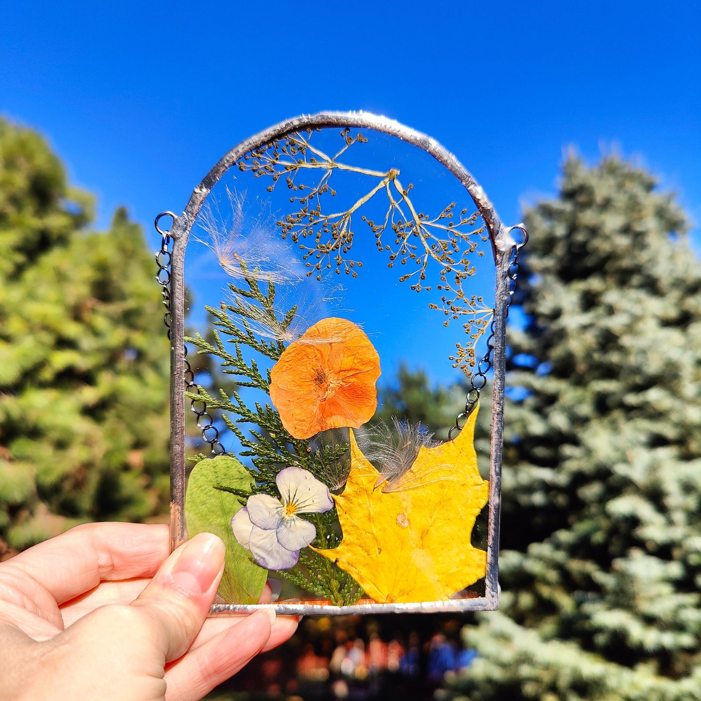 Pressed Autumn Leaves Frame | Handmade Herbarium Art | Dried Flower Suncatcher | Stained Glass Floating Frame Decor | Nature-Inspired Gift for Women and Men