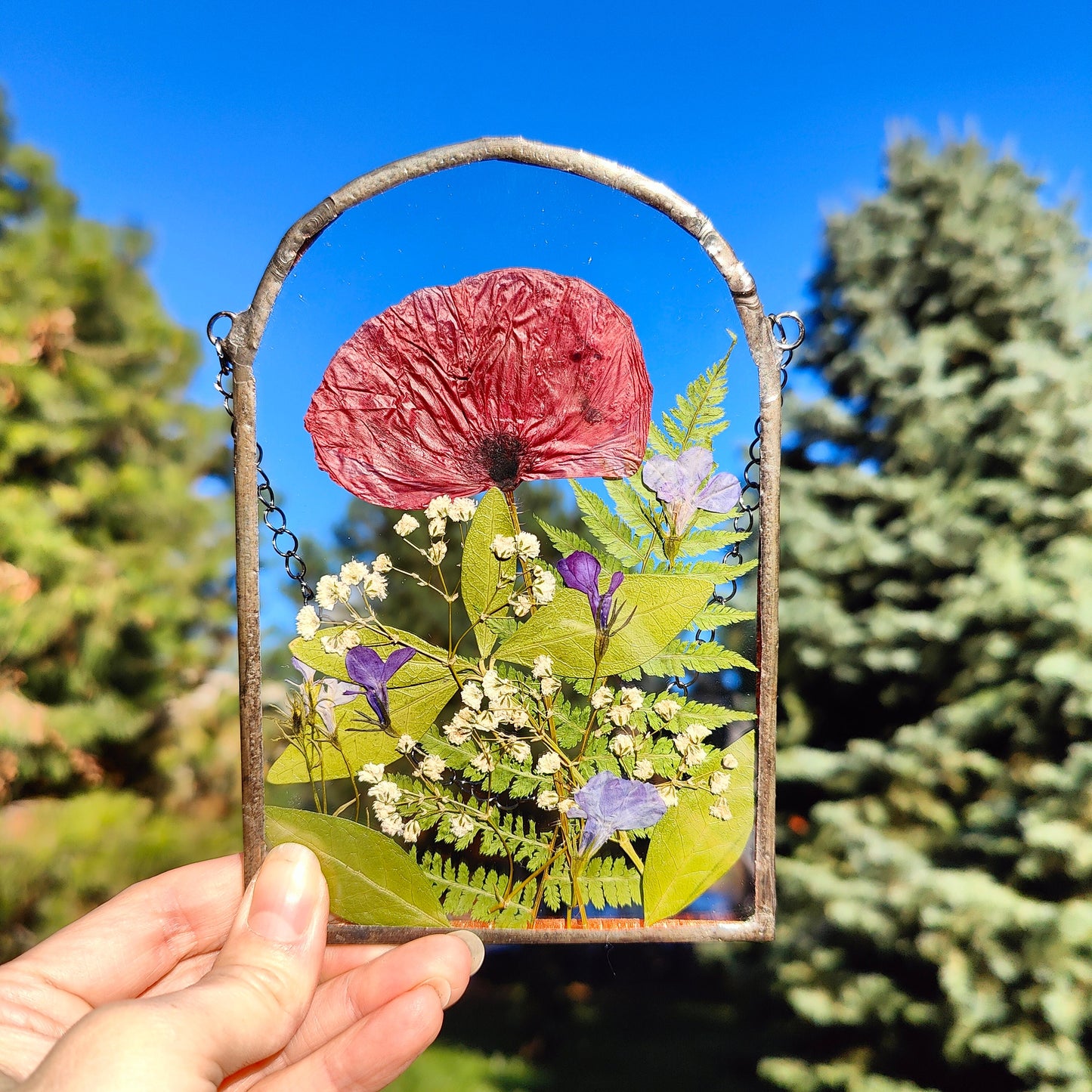 Pressed Poppy Herbarium Suncatcher | Handmade Stained Glass Flower Frame | Unique Anniversary Gift & Floral Wall Art