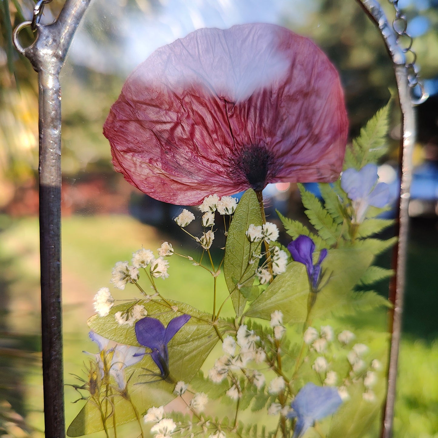 Pressed Poppy Herbarium Suncatcher | Handmade Stained Glass Flower Frame | Unique Anniversary Gift & Floral Wall Art